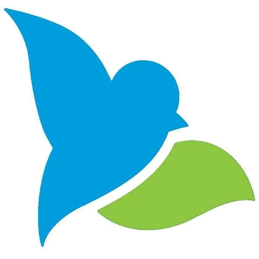 Bluebird Infotech
